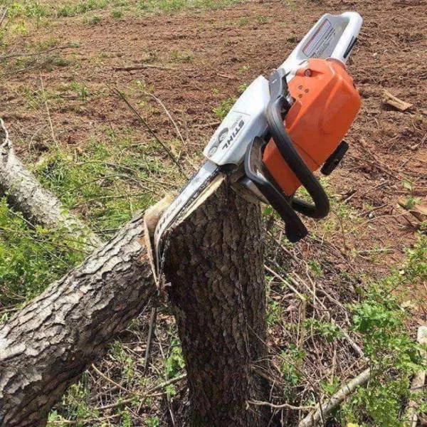 Photos that make you want to laugh - #7 