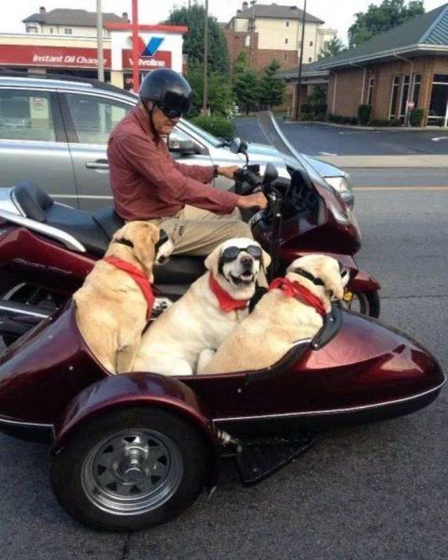 Picdump 358 - #101 