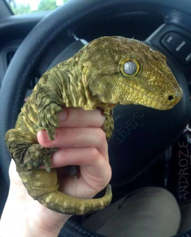Picdump 358 - #39 
