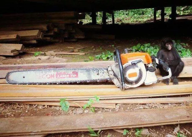 Picdump 358