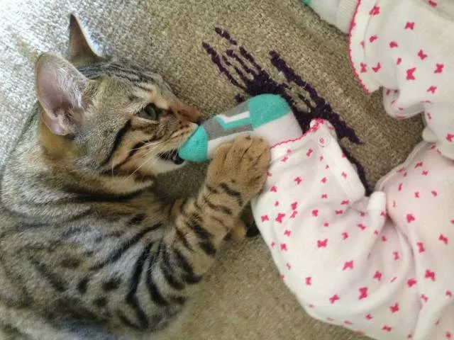 Picdump 358 - #67 