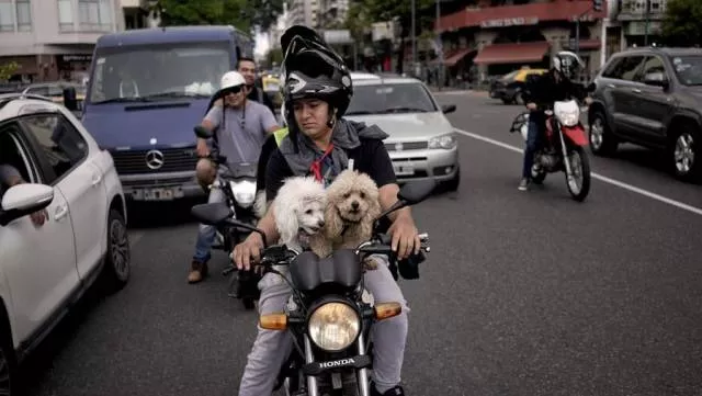 Picdump 358 - #85 