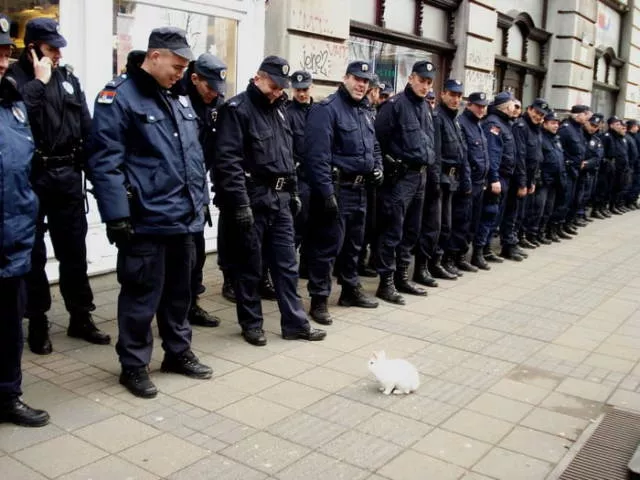 Picdump 359 - #28 