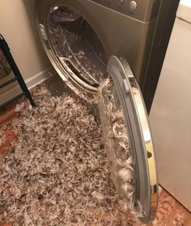 Picdump 360 - #11 