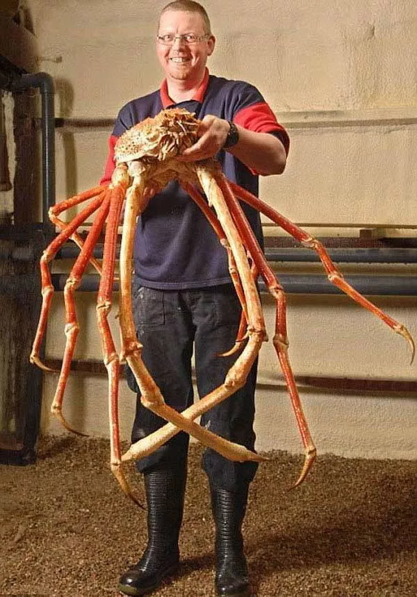 Picdump 360 - #28 