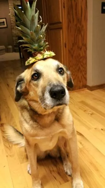 Picdump 67 - #39 