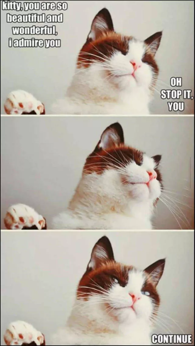 Picdump 67 - #5 