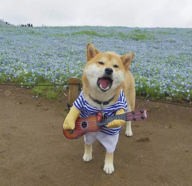 Picdump 361 - #10 