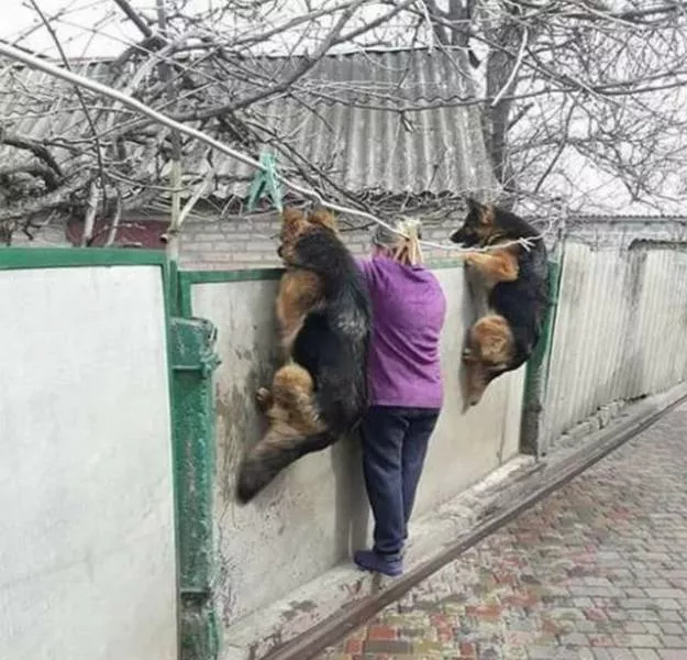 Picdump 361 - #18 