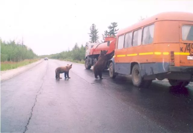 Picdump 361 - #35 