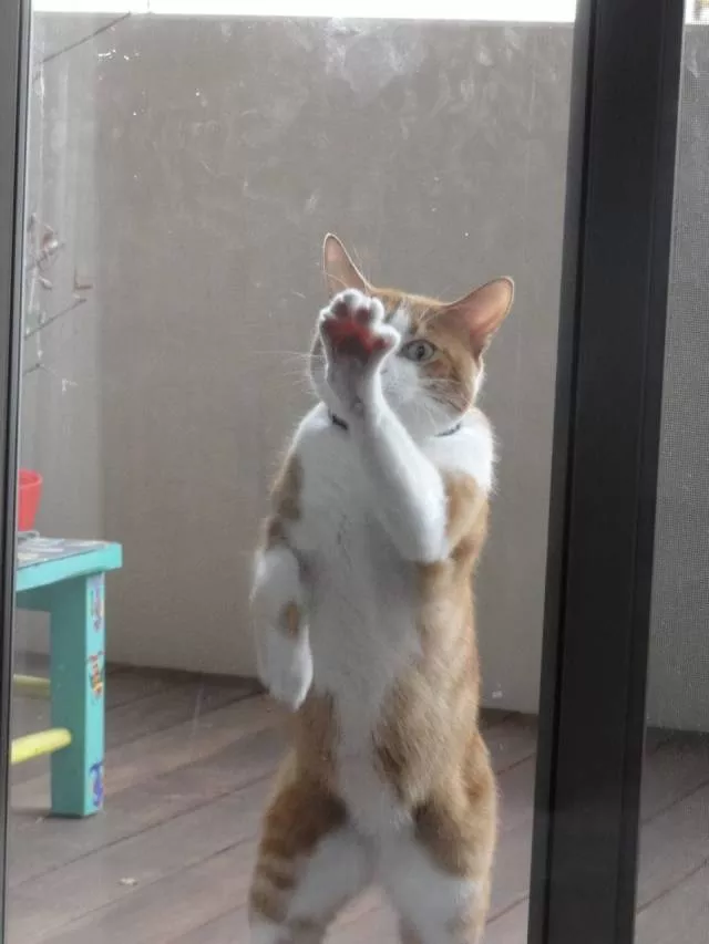 Picdump 361 - #58 