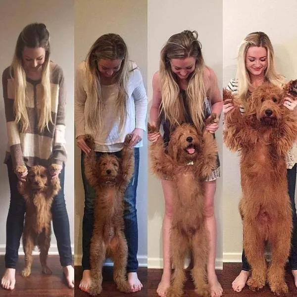 Picdump 361 - #60 