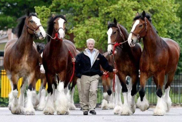 Picdump 361 - #62 