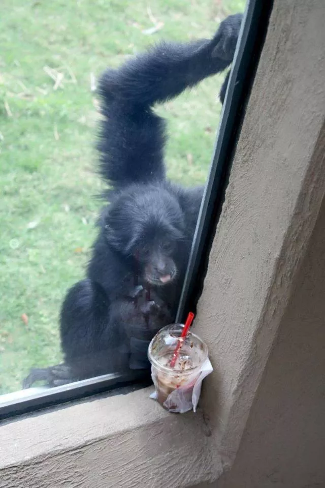 Picdump 361 - #63 