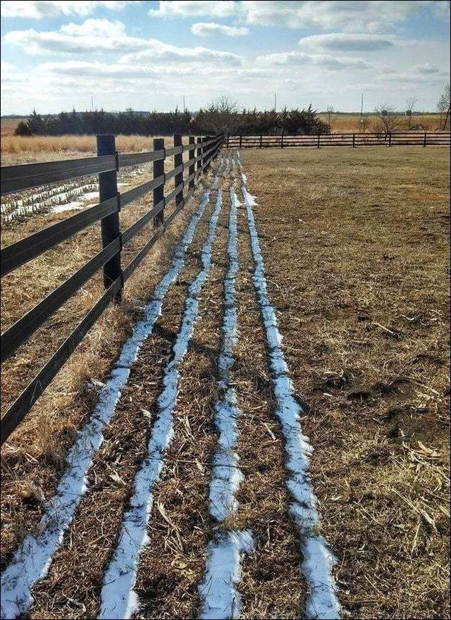 Picdump 361 - #74 