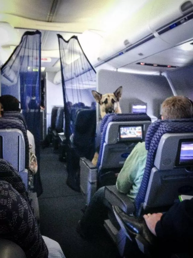 Picdump 361 - #91 