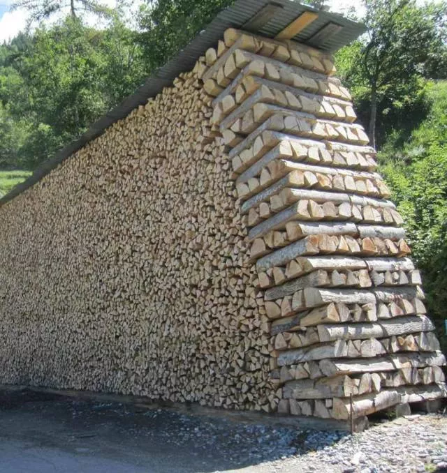 Picdump 361 - #96 