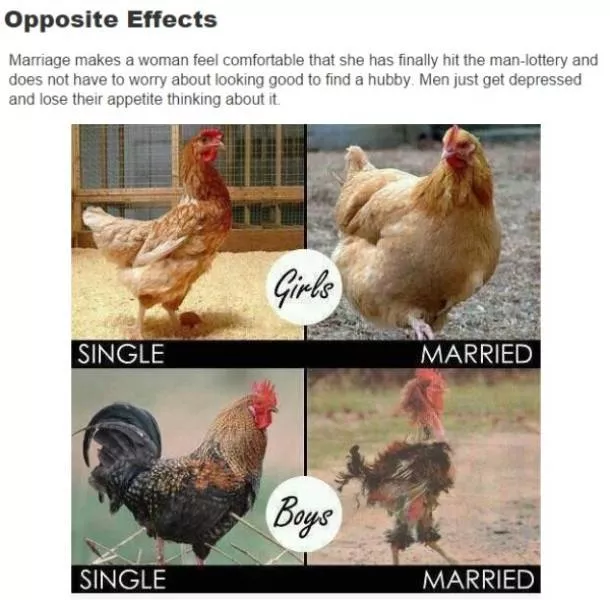 Single vs married life in two visions - #3 