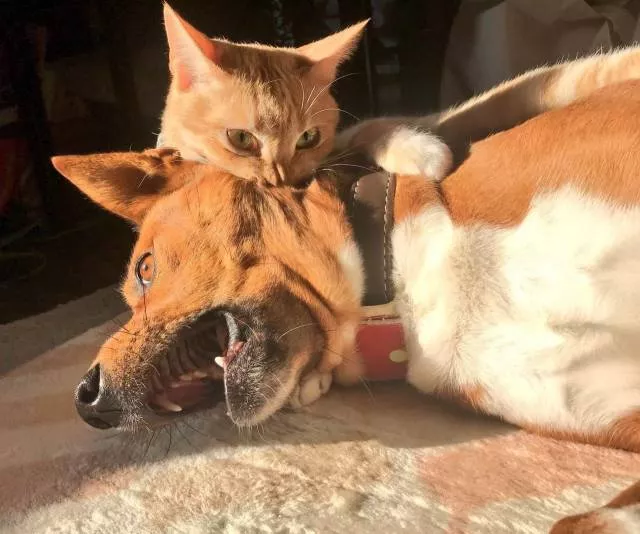 Picdump 363 - #13 