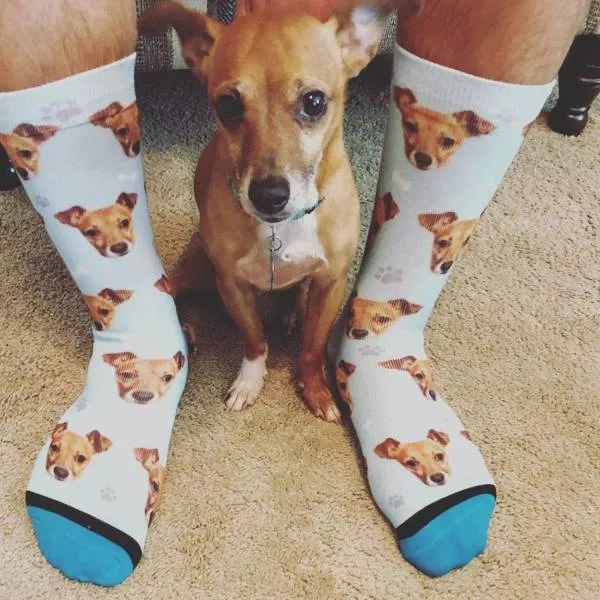 Picdump 363 - #41 