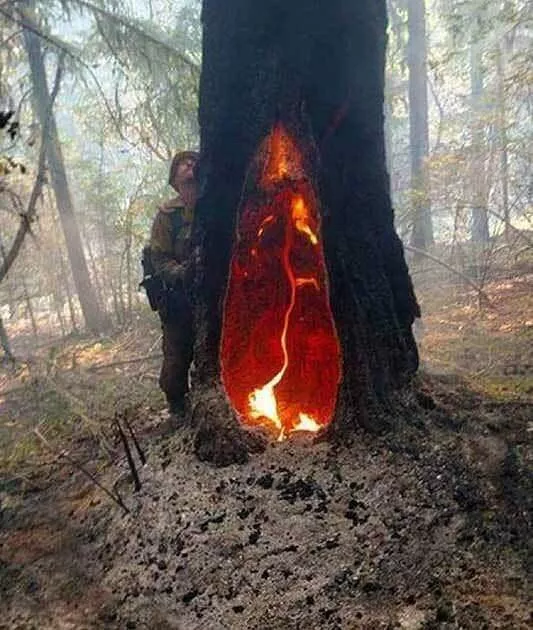 Picdump 363 - #88  Picdump 363 - #88