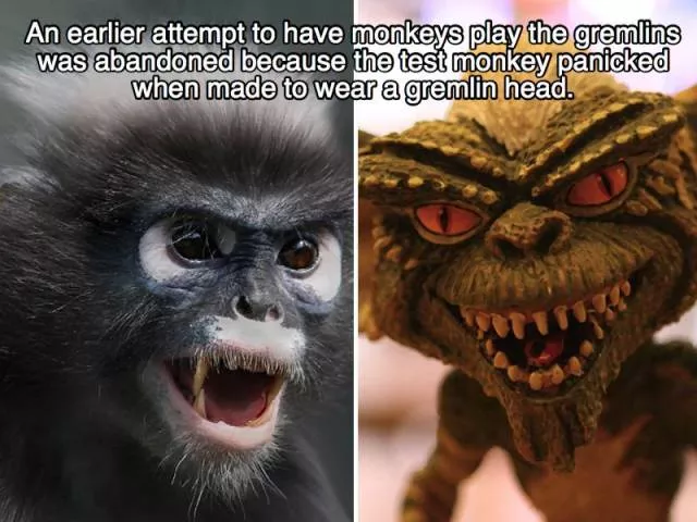 A few facts about  - #15 
