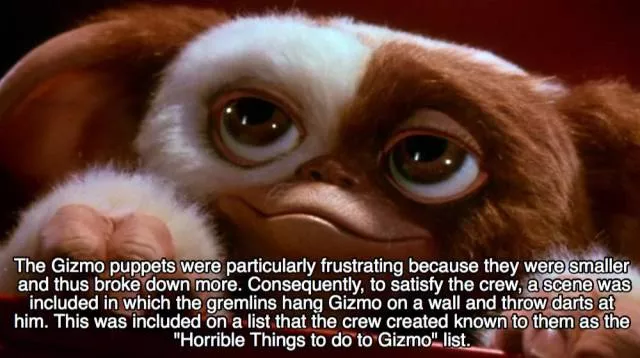 A few facts about  - #17 