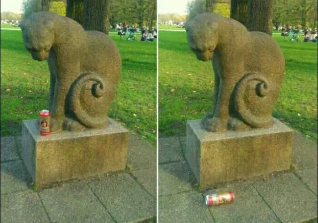 Some funny pics