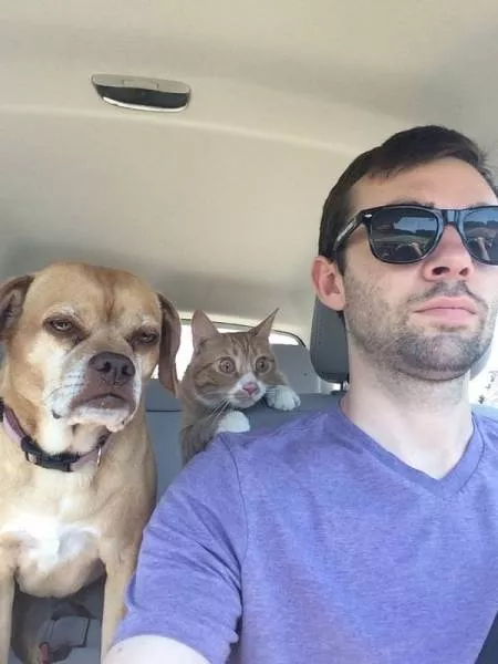 Some funny pics - #40 