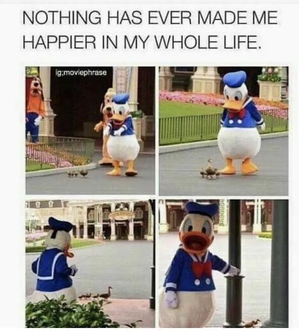 Some funny pics