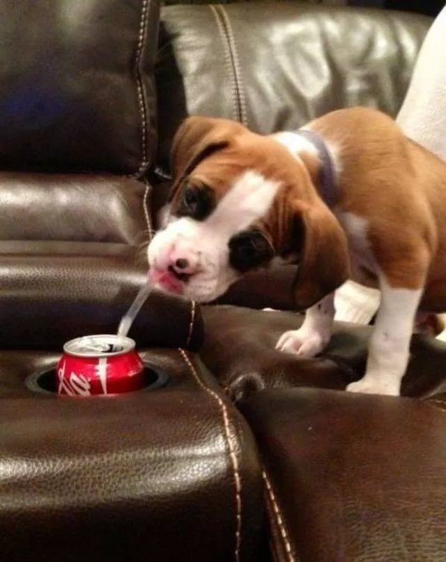 Picdump 364 - #19 