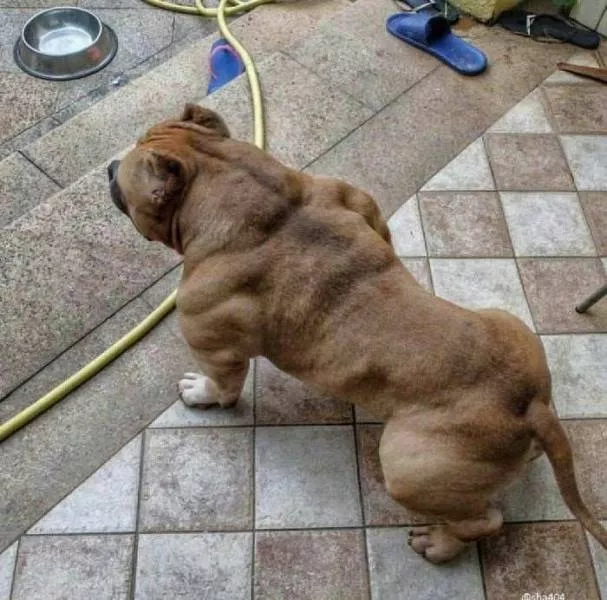 Picdump 364 - #24 