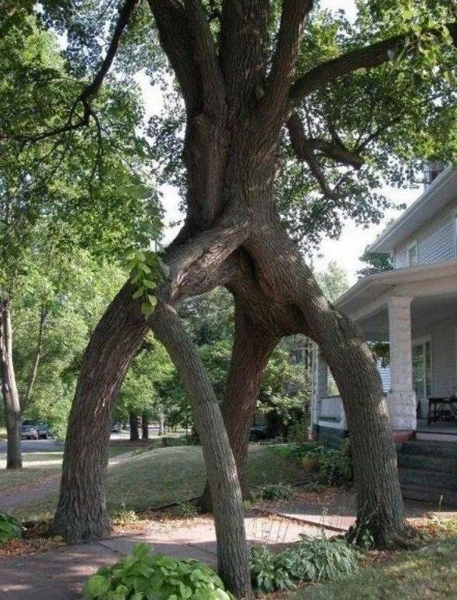 Picdump 364 - #29 