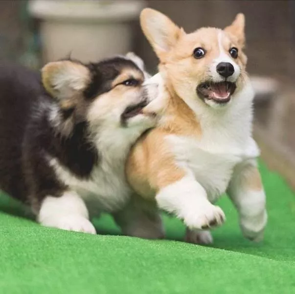 Picdump 364 - #32 