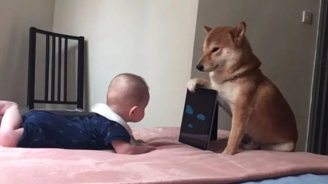 Picdump 364 - #45 