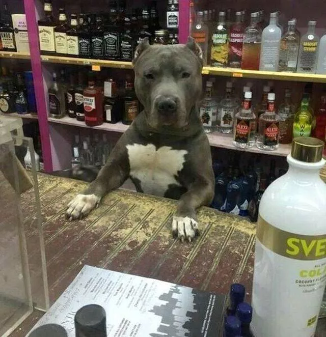 Picdump 364 - #49 