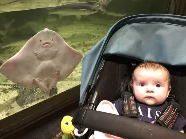 Picdump 364 - #53 