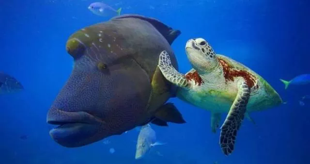 The most extraordinary pictures the week