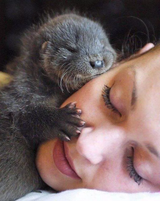The most extraordinary pictures the week - #2 