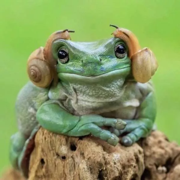 The most extraordinary pictures the week - #20 