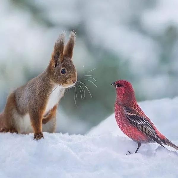 Les images les plus extraordinaire le la semaine - #23 