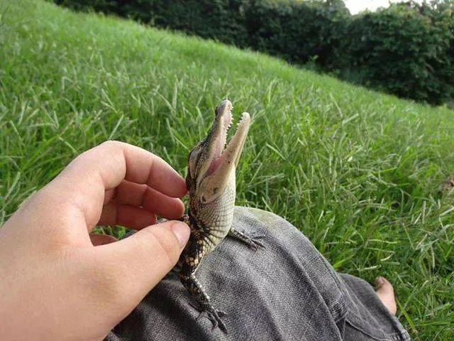 The most extraordinary pictures the week - #25 