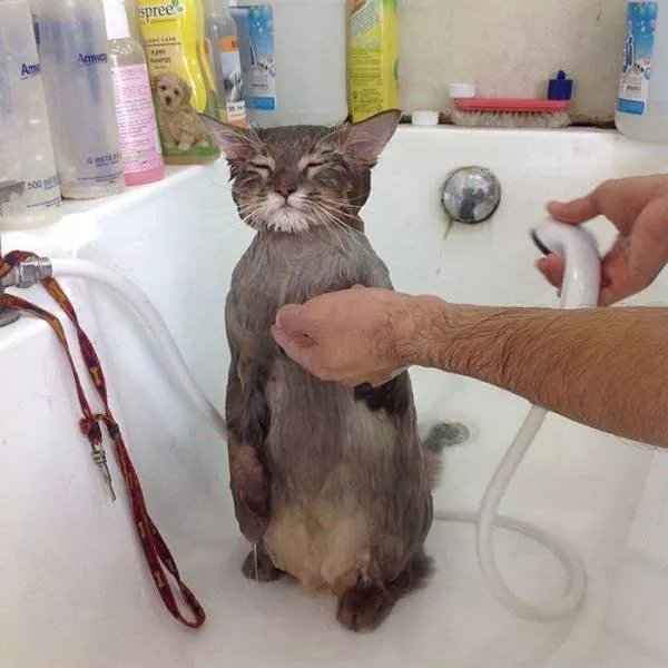 The most extraordinary pictures the week - #3 