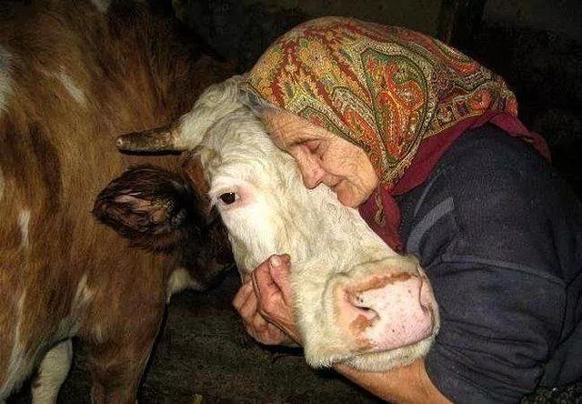 The most extraordinary pictures the week - #32 