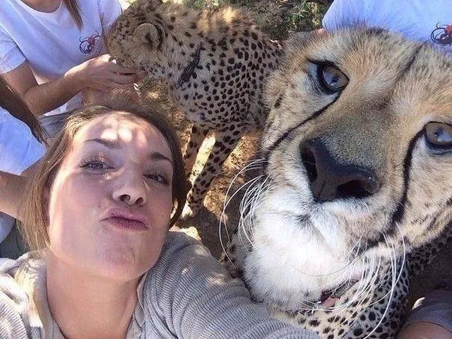The most extraordinary pictures the week - #38 