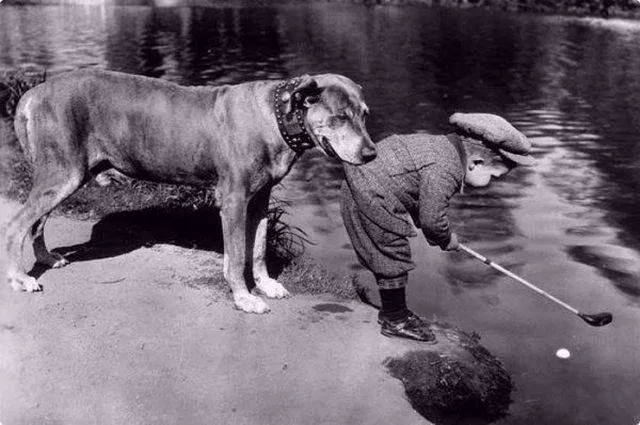 Les images les plus extraordinaire le la semaine - #43 