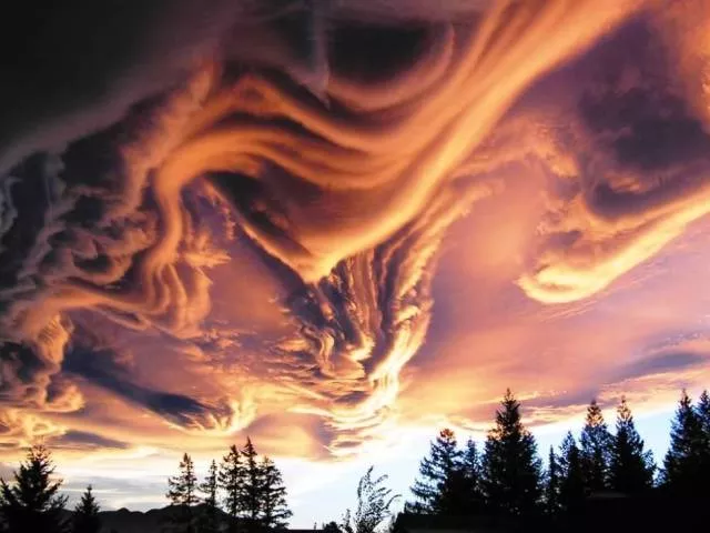 Les images les plus extraordinaire le la semaine - #44 