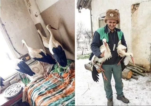 The most extraordinary pictures the week - #50 