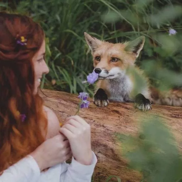 Les images les plus extraordinaire le la semaine - #53 