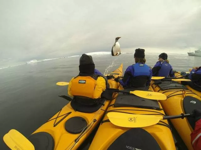 The most extraordinary pictures the week - #59 